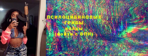 ГАЛЛЮЦИНОГЕННЫЕ ГРИБЫ Алексин