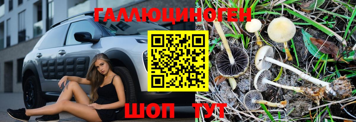 Кореновск  Псилоцибиновые грибы Psilocybine cubensis  Галлюциногенные грибы MAGIC MUSHROOMS  Вход с VPN 
