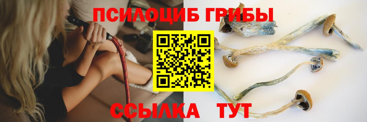 Псилоцибиновые грибы Psilocybine cubensis Кореновск